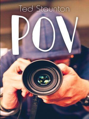 cover image of POV